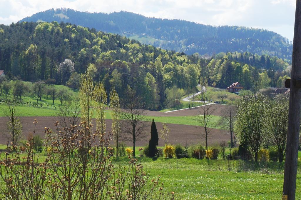 Pension Wolkenreich Oberhaag Luaran gambar